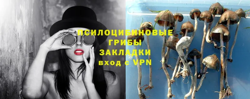 Псилоцибиновые грибы Magic Shrooms  Алексеевка 